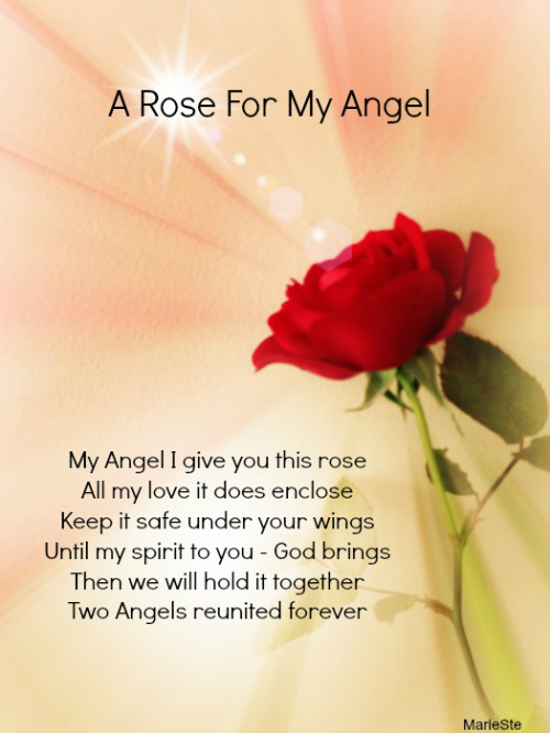 A Rose For My Angel The Grief Toolbox